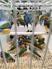 IMG20221125112826