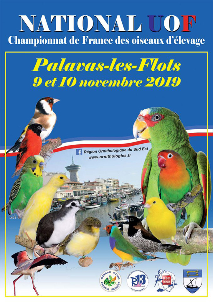 Palavas 2019