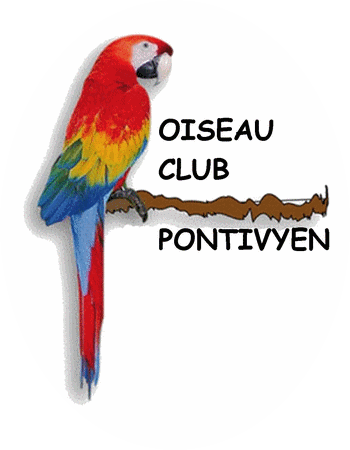 Nos nids d'oiseaux - Écoles Publiques RPI Broualan - Trans